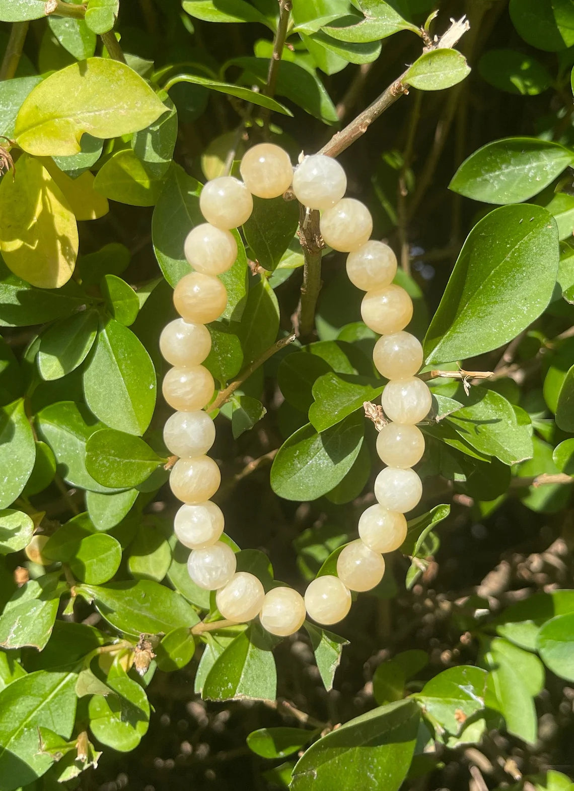 Honey Calcite Bracelet
