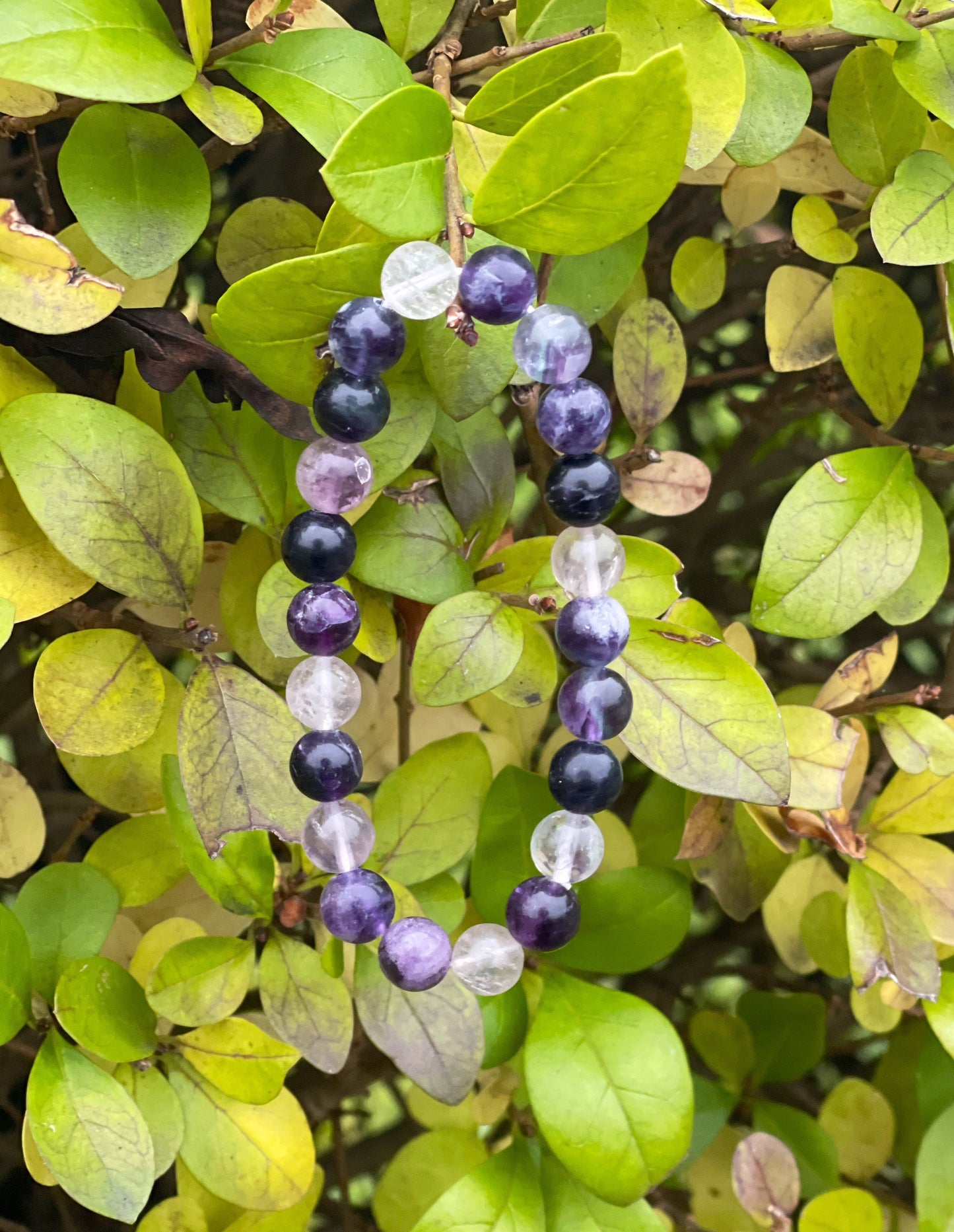 Purple Fluorite Bracelet