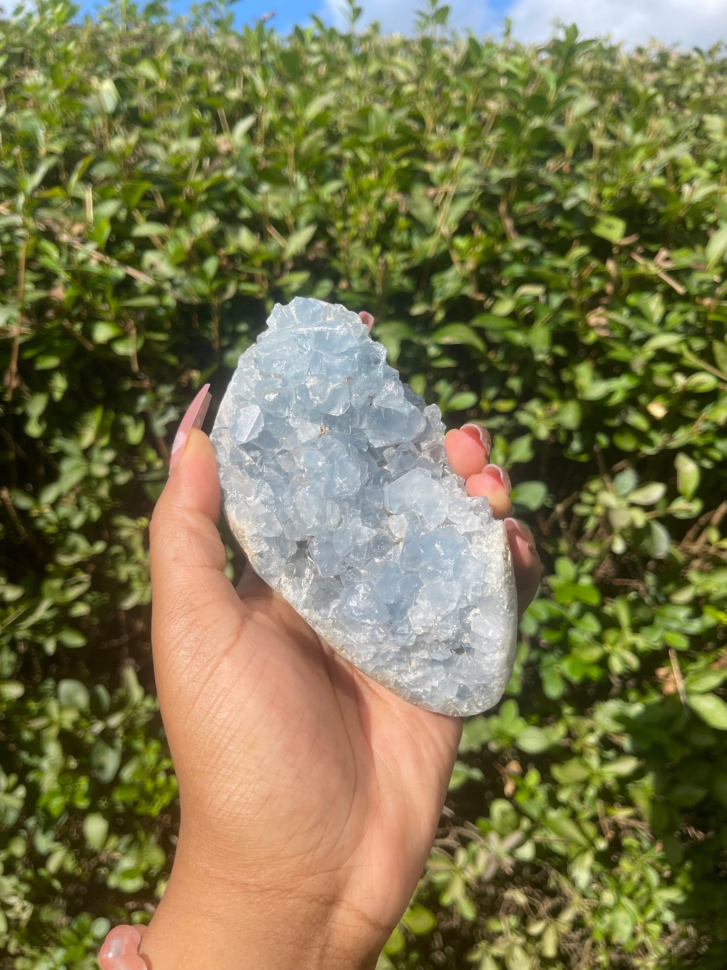Celestite Geode