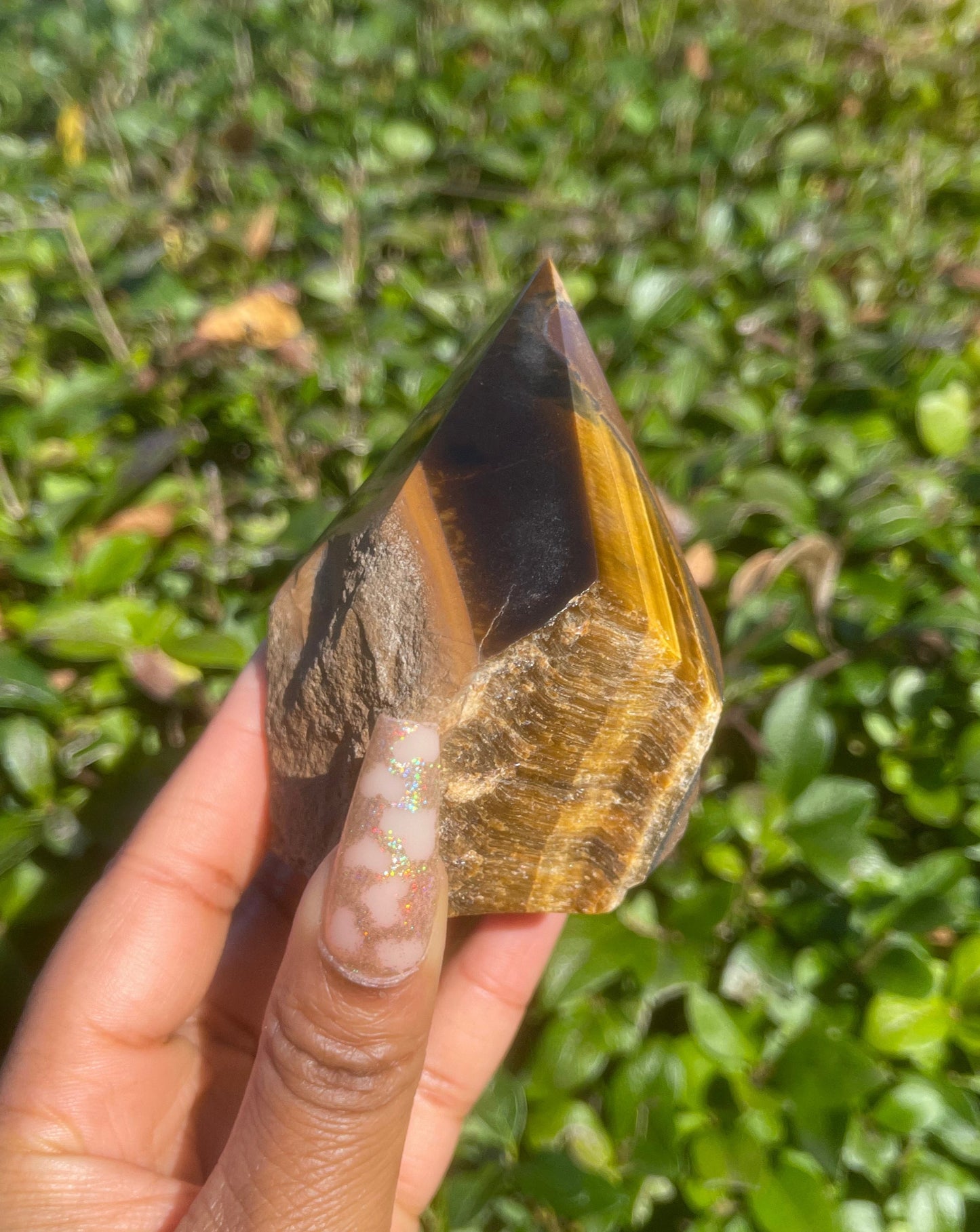 Tiger Eye Point