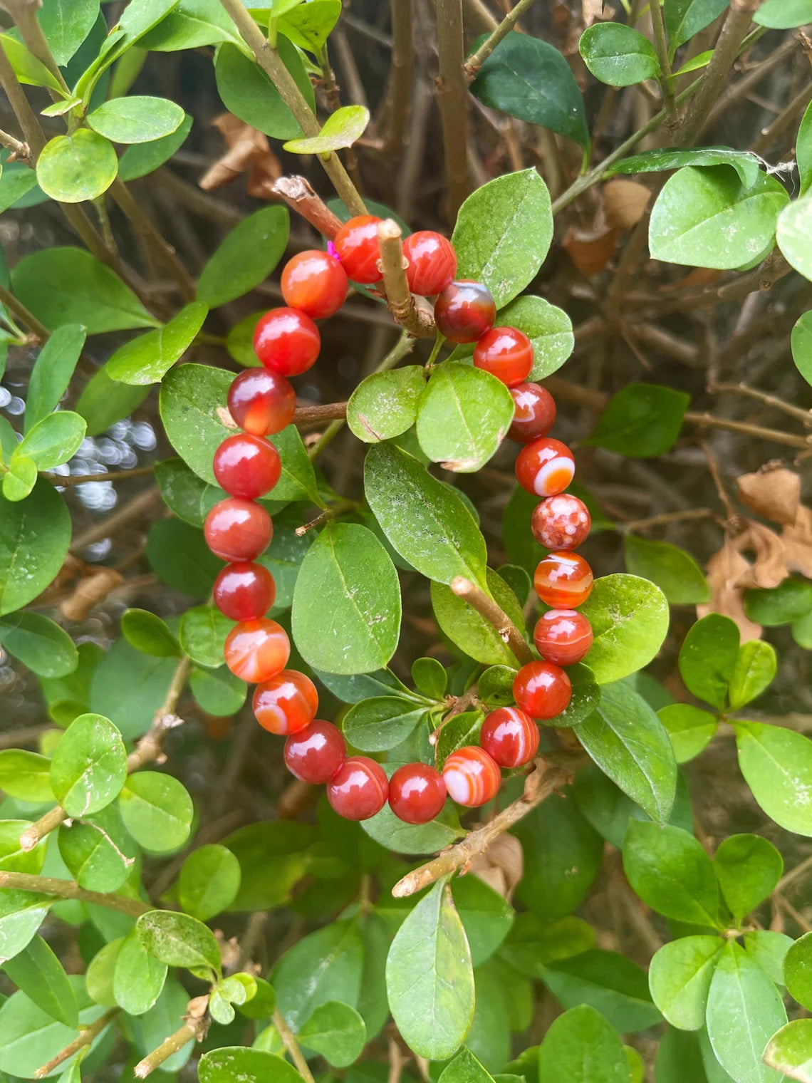 Banded Carnelian Bracelet