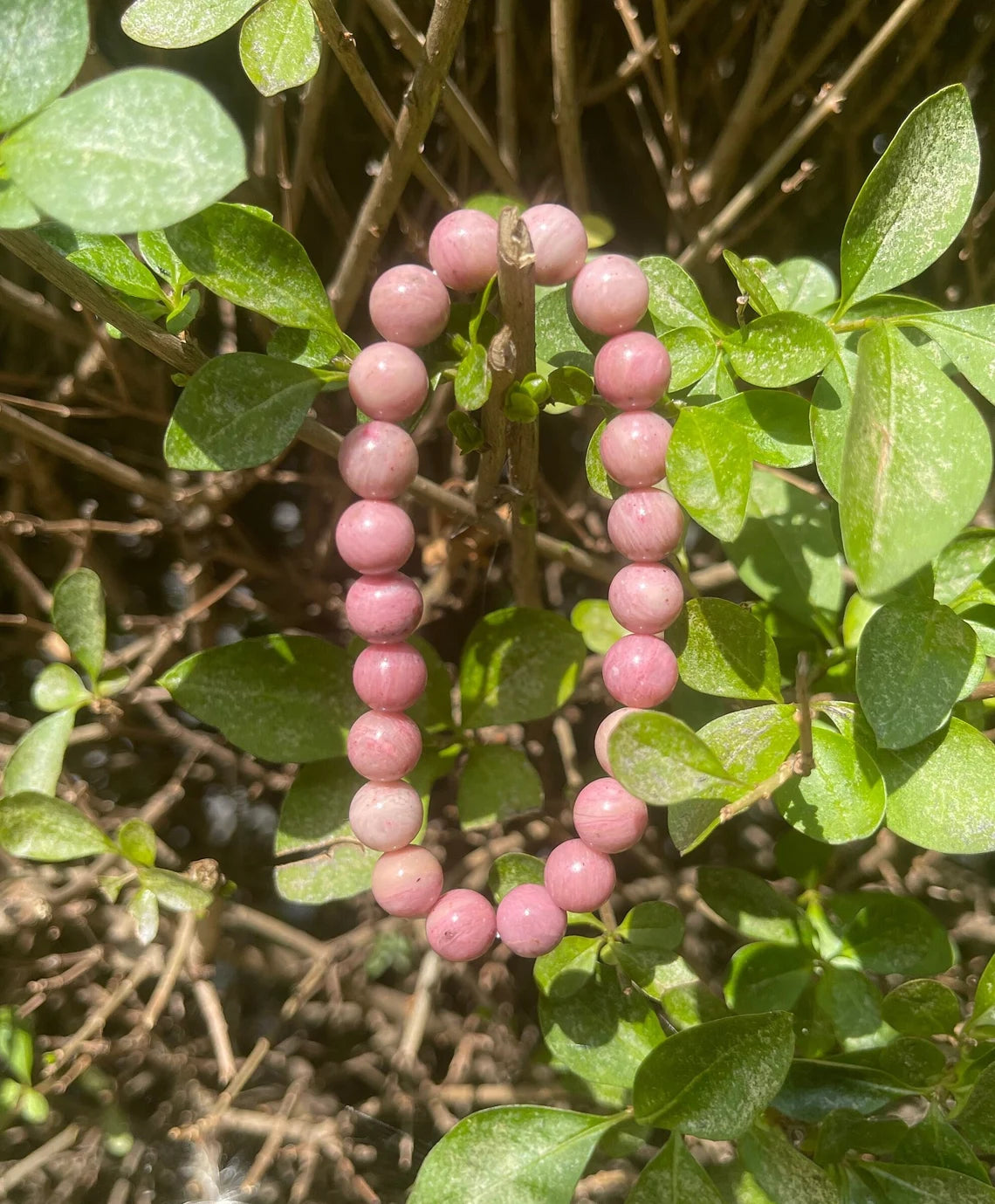 Pink Rhodonite Bracelet