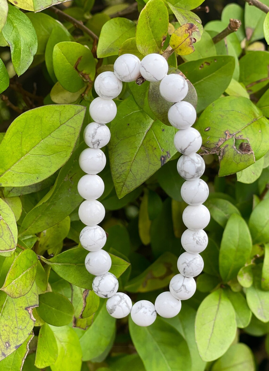 Howlite Bracelet