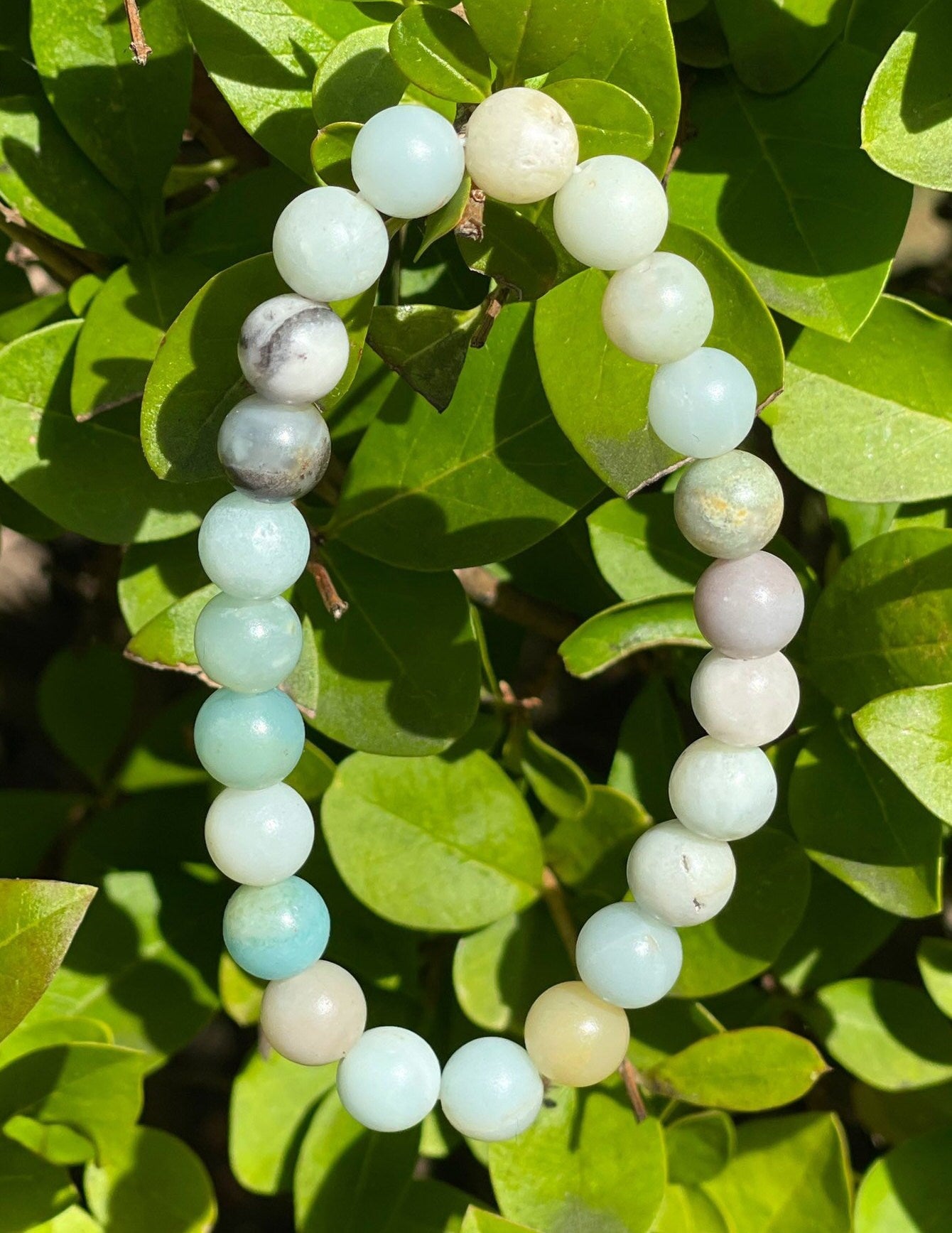 Rainbow Amazonite Bracelet