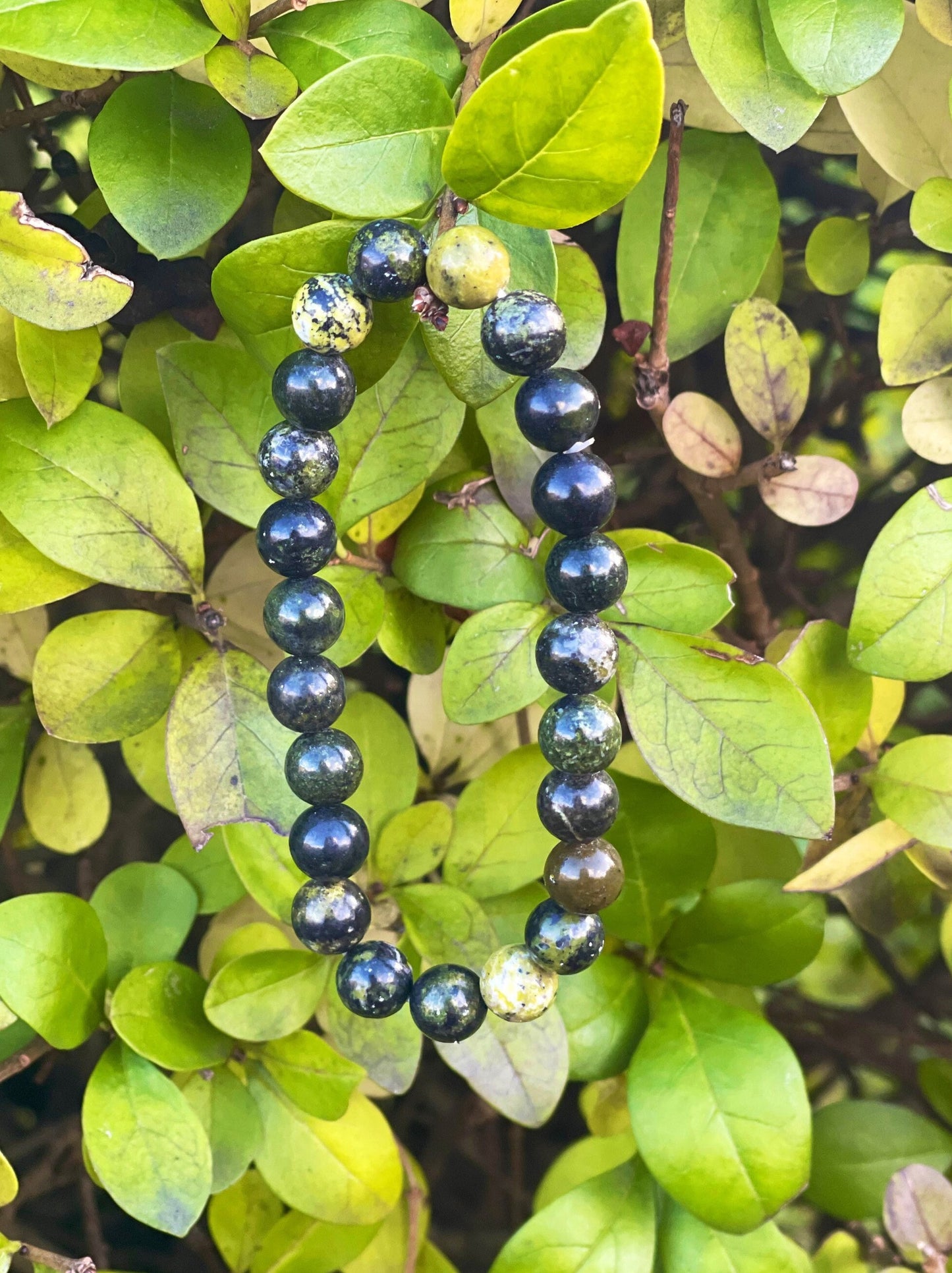 Serpentine Bracelet